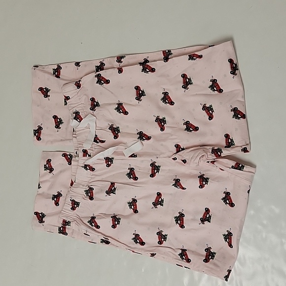 J Crew re-imagined flannel pale pink pajama pants women's sz small NWOT festive - Picture 3 of 8
